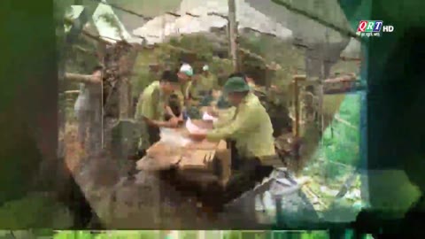 Chuyên mục chi trả dịch vụ môi trường rừng số 04 năm 2024